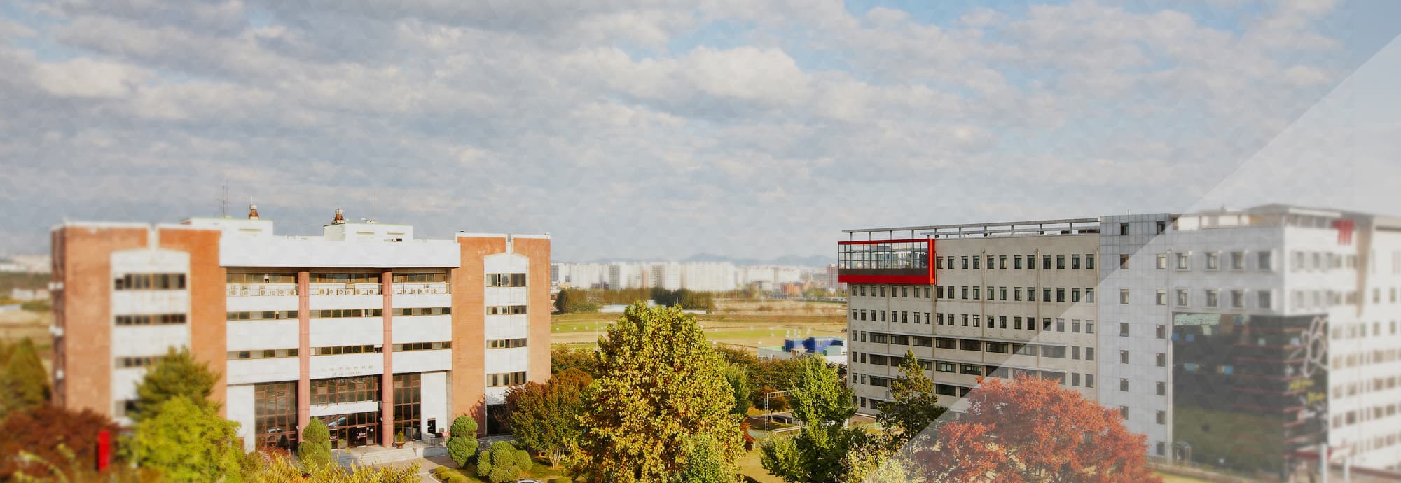 Suwon Women's University