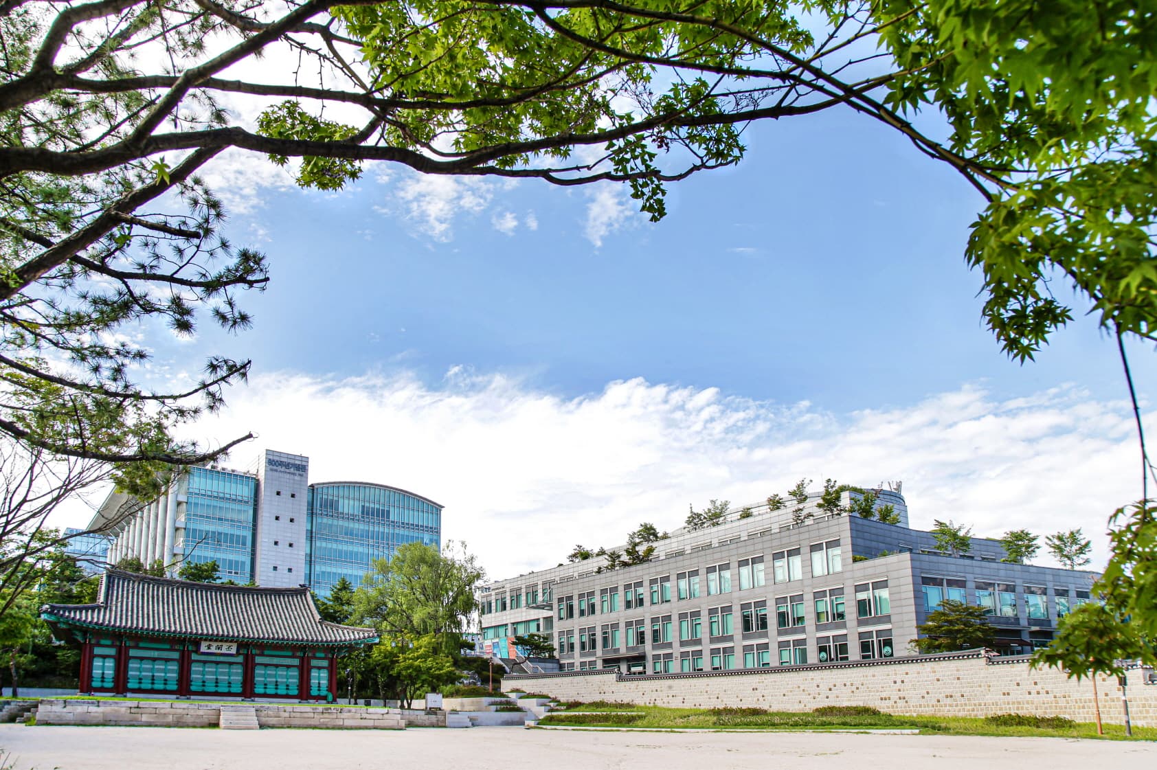 Kyongbuk Science University