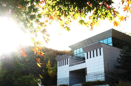 World Cyber University